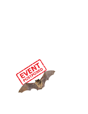 Exploring Wildlife S Exploring Wildlife S